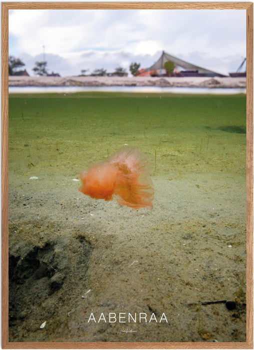 Aabenraa No. 1 Undervands-plakat