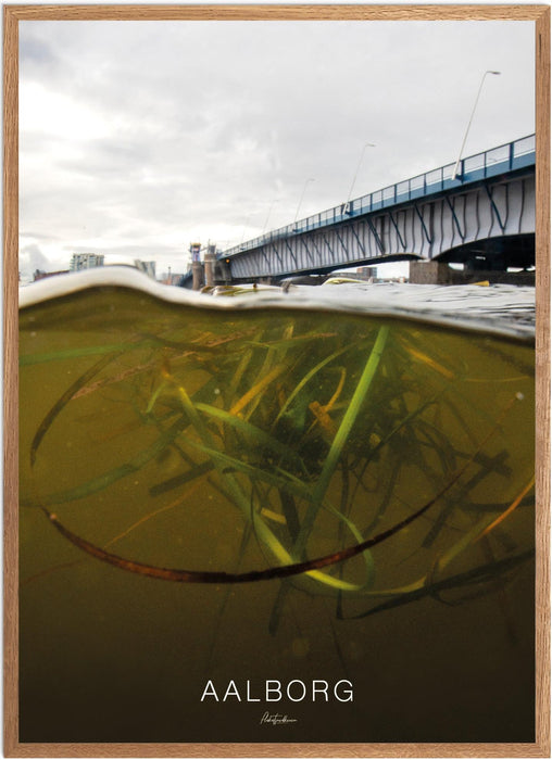 Aalborg Undervands-plakat