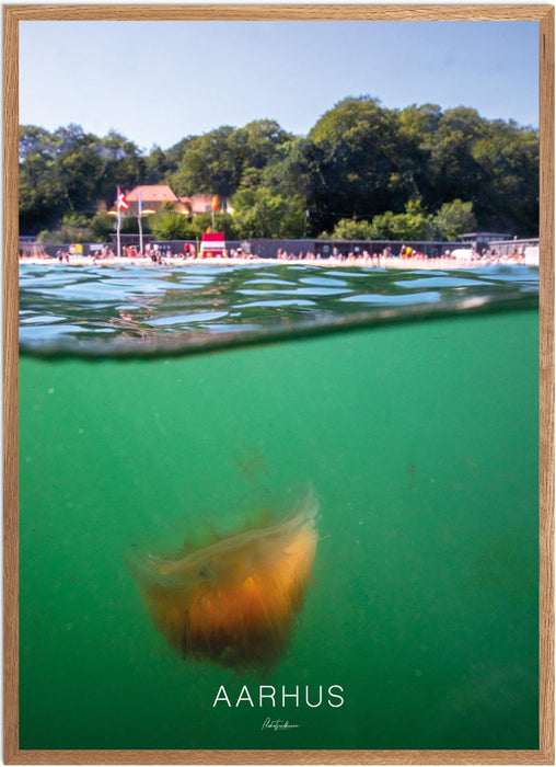 Aarhus No. 1 Undervands-plakat
