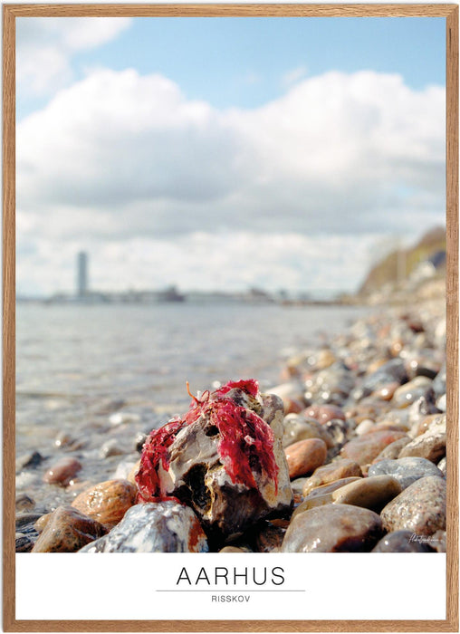 Aarhus Risskov Analog-plakat