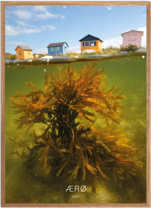 Ærø No. 2 Undervands-plakat