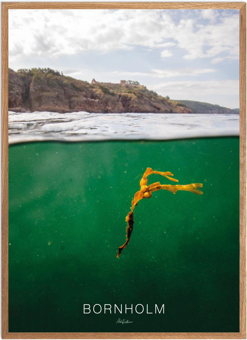 Bornholm No. 2 Undervands-plakat