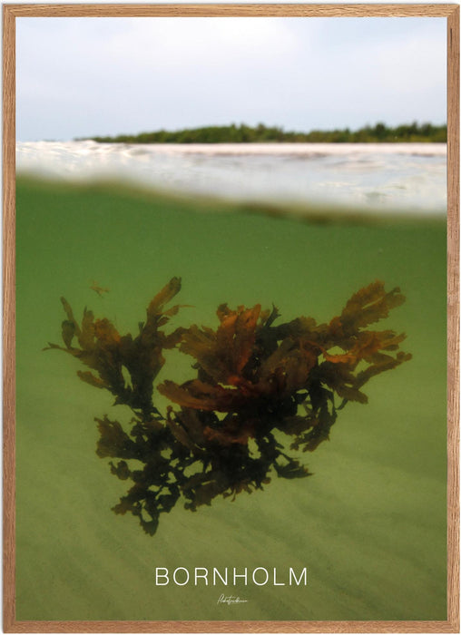 Bornholm No. 5 Undervands-plakat