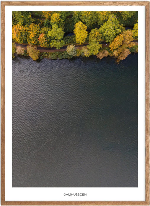 Damhussøen Plakat