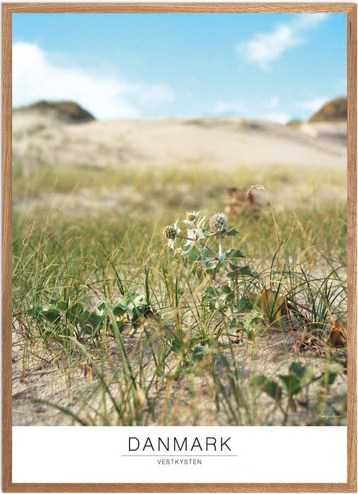 Danmark Vestkysten No. 2 Analog-plakat