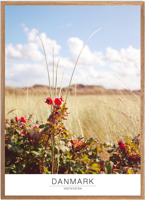 Danmark Vestkysten No. 1 Analog-plakat