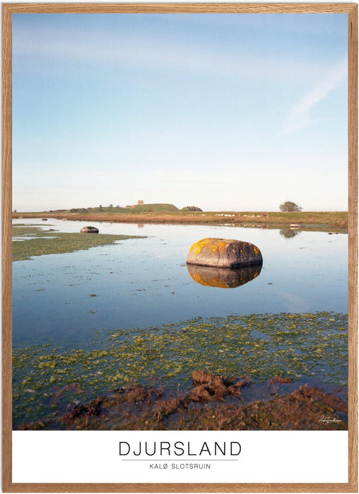 Djursland Kalø Slotsruin Analog-plakat