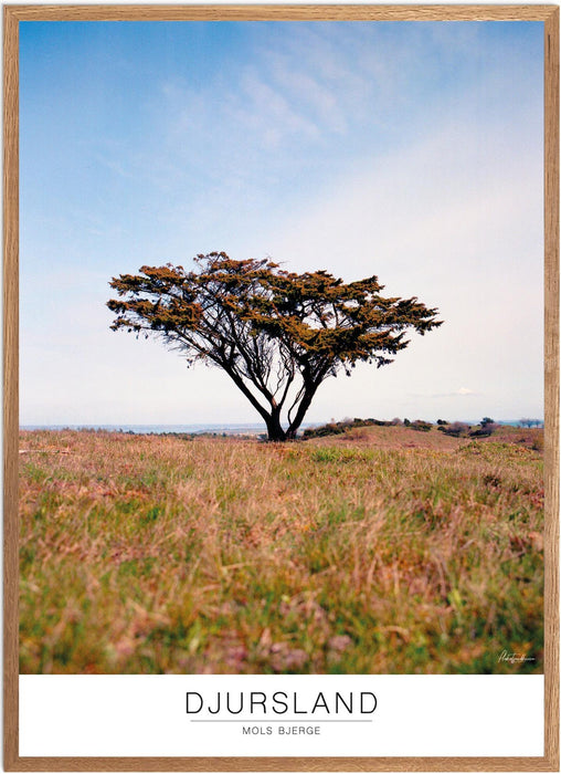 Djursland Mols Bjerge Analog-plakat