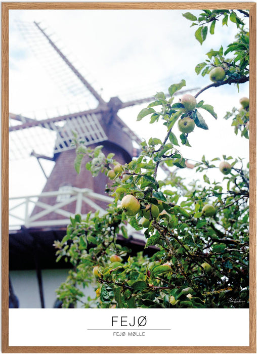Fejø Fejø Mølle Analog-plakat