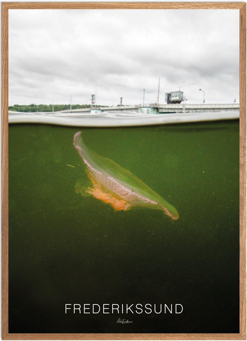 Frederikssund Undervands-plakat