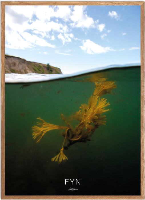 Fyn Undervands-plakat