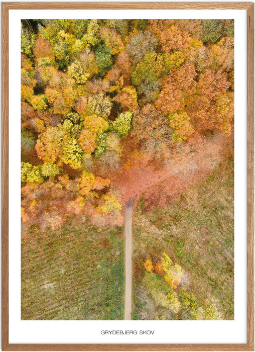 Grydebjerg Skov Plakat