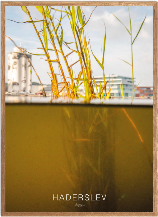 Haderslev Undervands-plakat