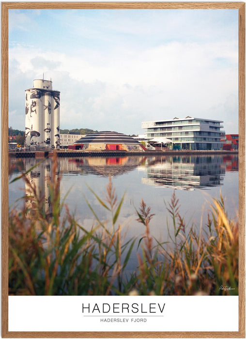 Haderslev Haderslev Fjord Analog-plakat