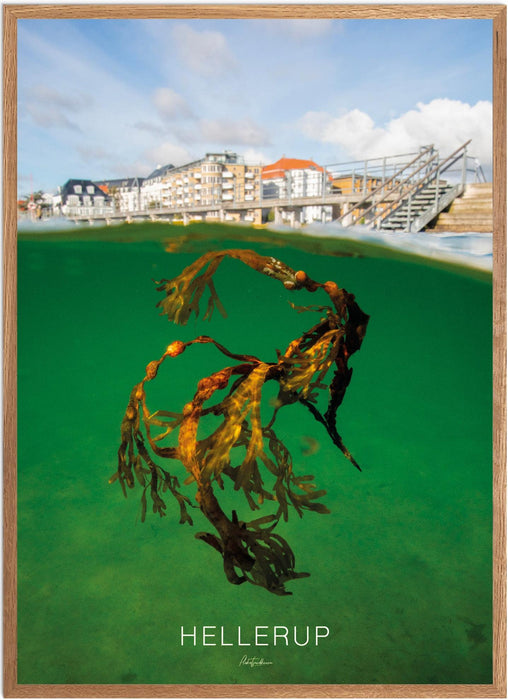 Hellerup Undervands-plakat