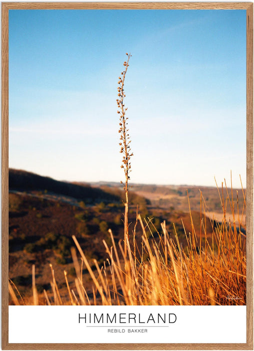 Himmerland Rebild Bakker Analog-plakat