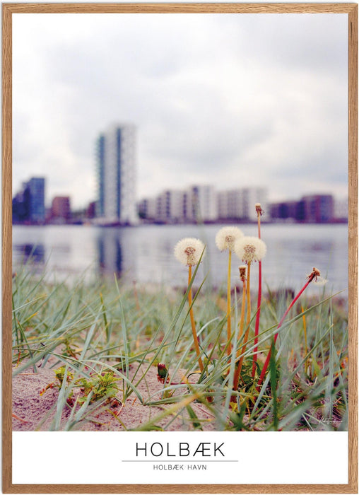 Holbæk Holbæk Havn Analog-plakat