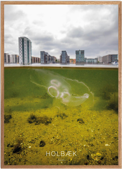 Holbæk Undervands-plakat