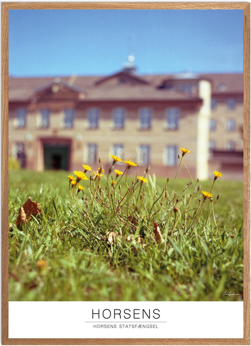 Horsens Horsens Statsfængsel Analog-plakat