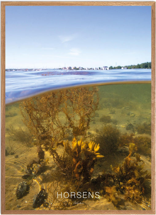 Horsens Undervands-plakat