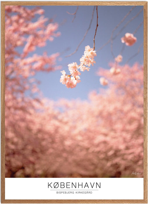 København Bispebjerg Kirkegård Analog-plakat