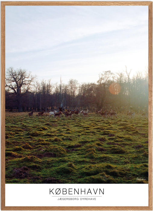 København Jægersborg Dyrehave Analog-plakat