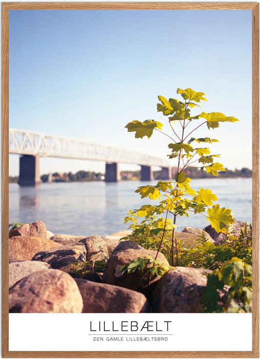 Lillebælt Den gamle Lillebæltsbro Analog-plakat