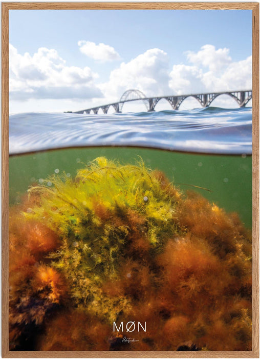 Møn No. 2 Undervands-plakat