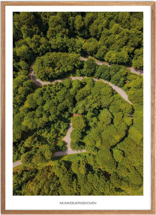 Munkebjergskoven Plakat