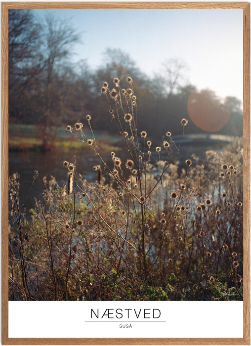 Næstved Suså Analog-plakat