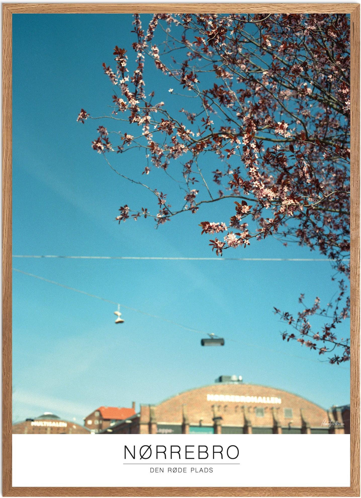 Plakat Den Røde Plads— Plakatsnedkeren