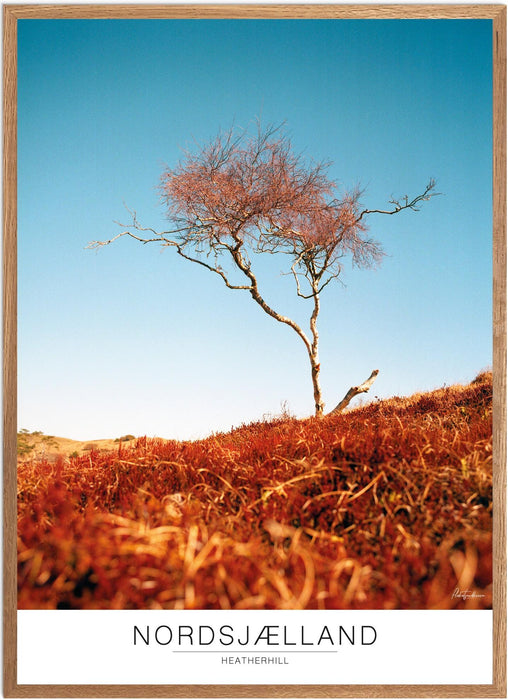 Nordsjælland Heatherhill Analog-plakat
