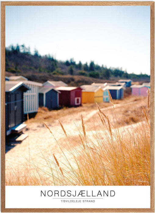 Nordsjælland Tisvildeleje Strand No. 1 Analog-plakat