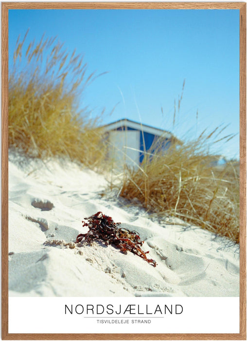Nordsjælland Tisvildeleje Strand No. 2 Analog-plakat