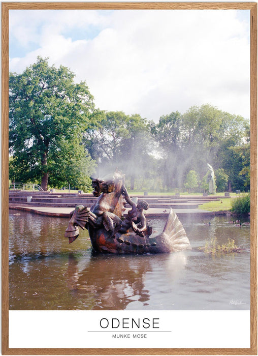Odense Munke Mose Analog-plakat