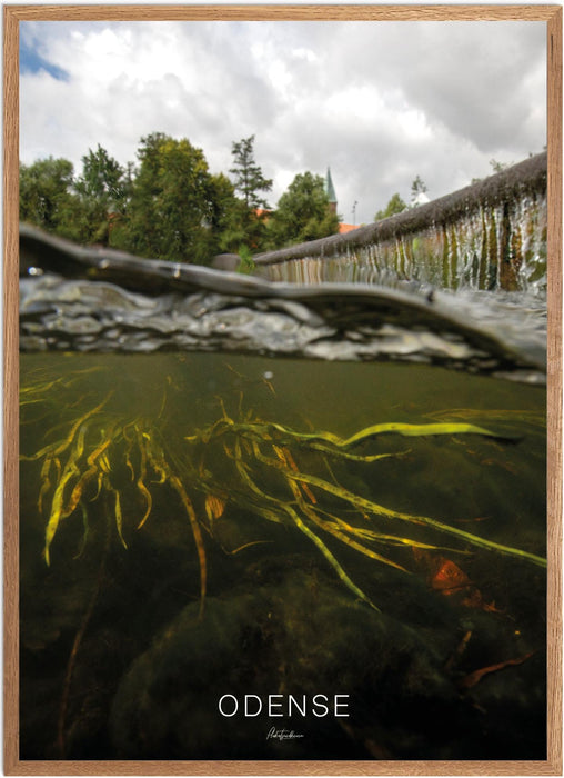 Odense Undervands-plakat