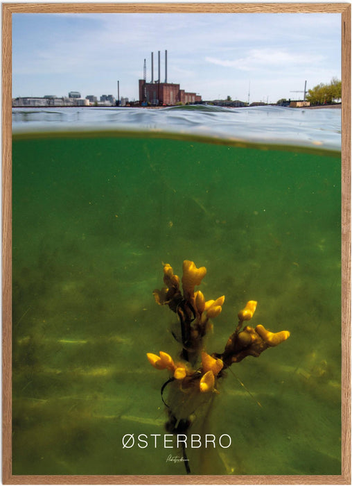 Østerbro No. 2 Undervands-plakat