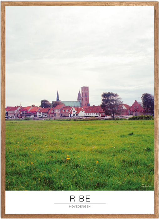 Ribe Hovedengen Analog-plakat