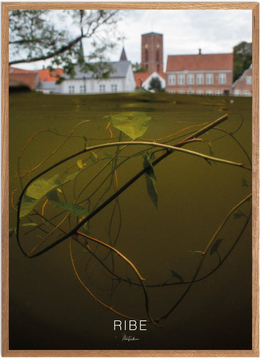 Ribe Undervands-plakat