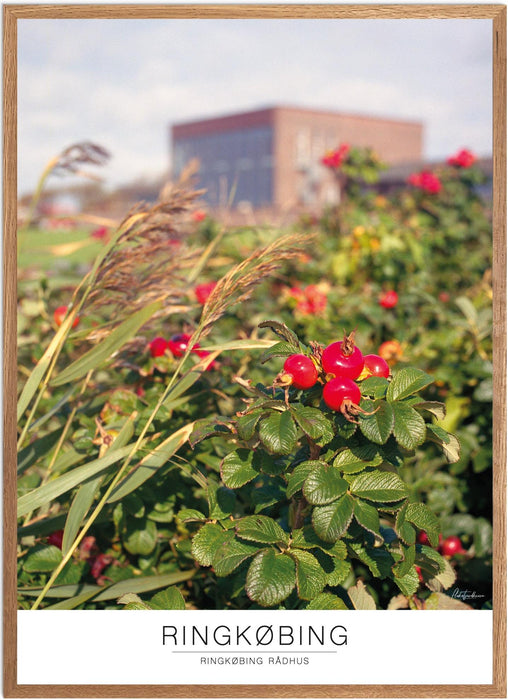 Ringkøbing Ringkøbing Rådhus Analog-plakat