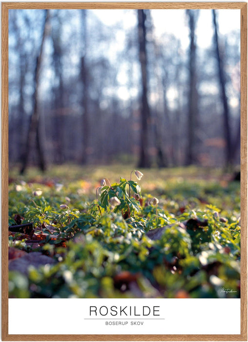 Roskilde Boserup Skov Analog-plakat