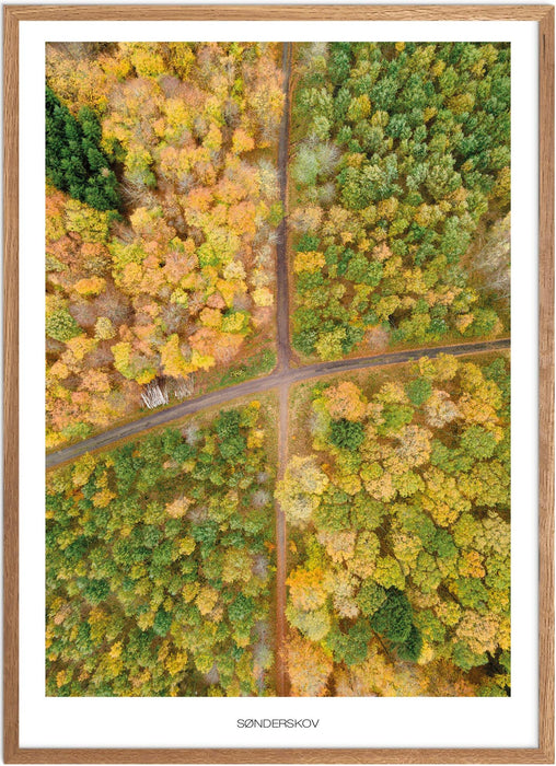 Sønderskov (Sorø) Plakat