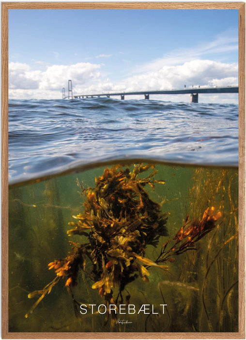 Storebælt Undervands-plakat
