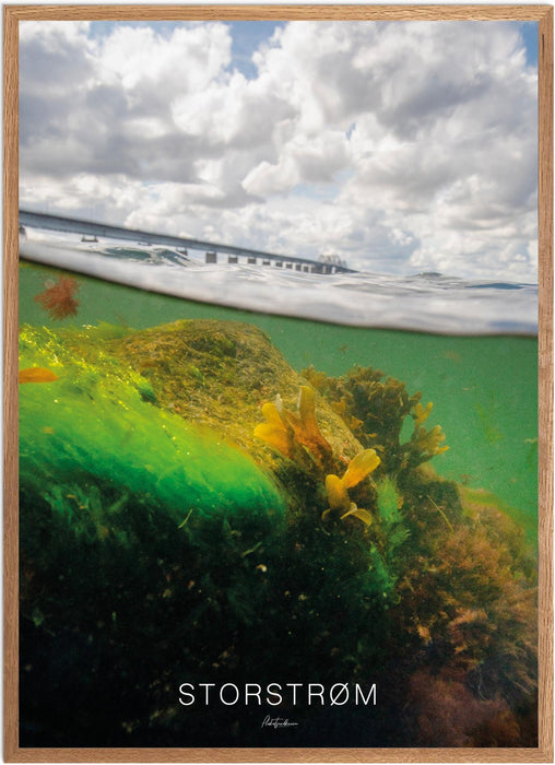 Storstrøm No. 1 Undervands-plakat