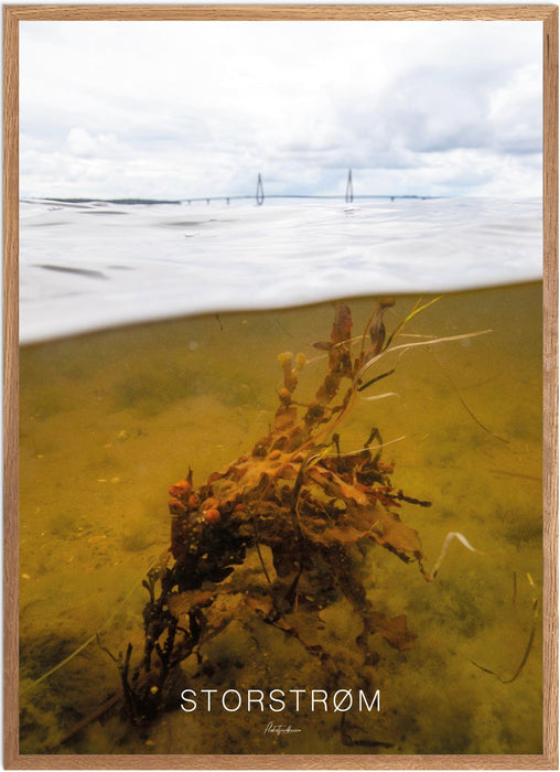 Storstrøm No. 2 Undervands-plakat