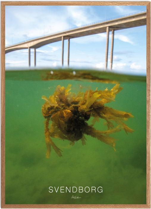 Svendborg Undervands-plakat