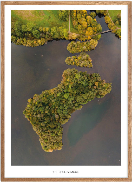 Utterslev Mose No. 1 Plakat