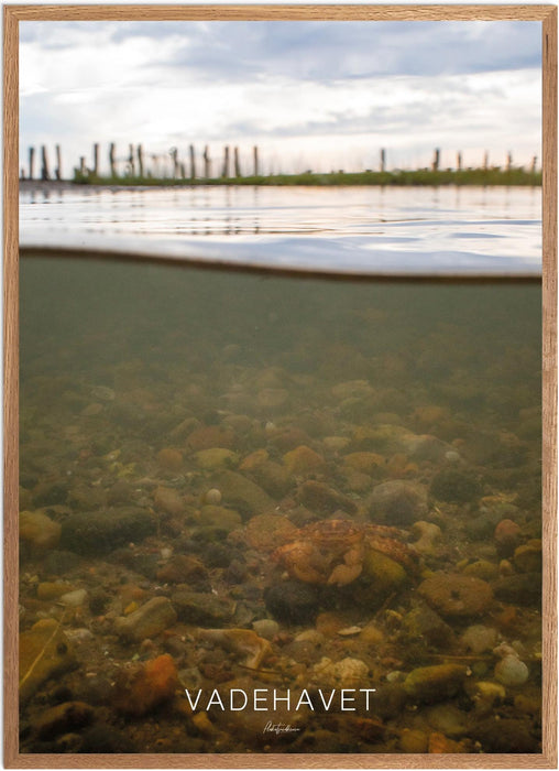 Vadehavet Undervands-plakat