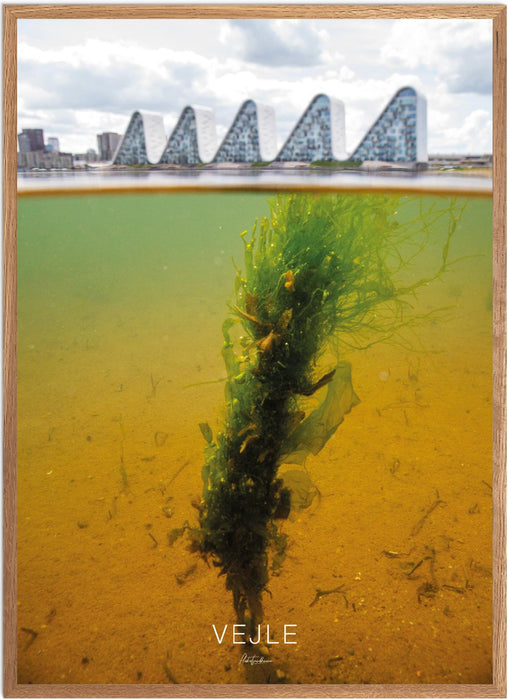 Vejle No. 1 Undervands-plakat