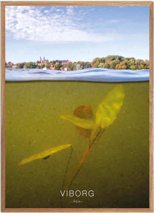 Viborg Undervands-plakat